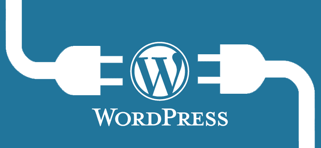WordPress iin Otomatik Meta Description Fonksiyonu